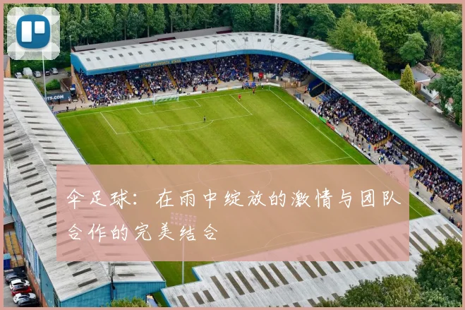 伞足球：在雨中绽放的激情与团队合作的完美结合