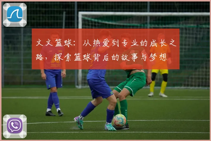 文文篮球：从热爱到专业的成长之路，探索篮球背后的故事与梦想