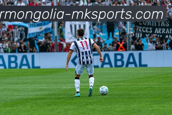 MK体育平台生态图