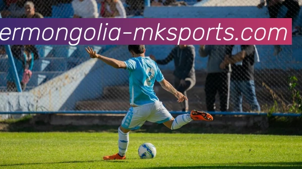 MK体育APP 封面图